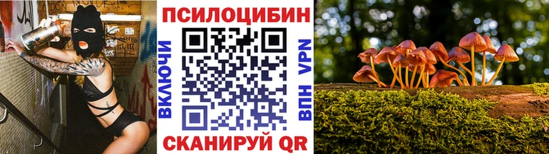 купить наркотики цена  Черноголовка  Псилоцибиновые грибы мицелий 